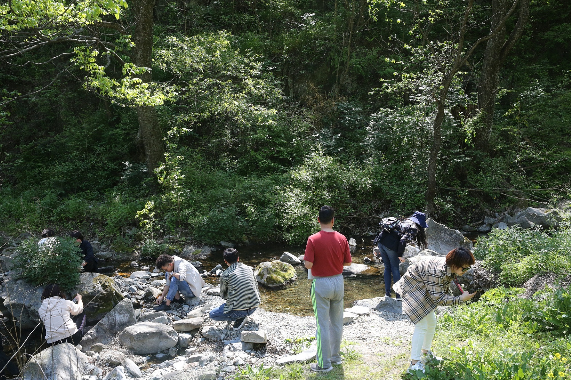 正在上传... 正在上传...