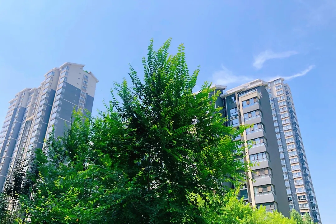 正在上传... 16.jpg