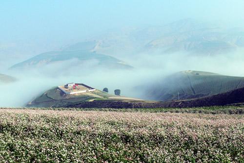 红井子、火红的青春岁月（二）