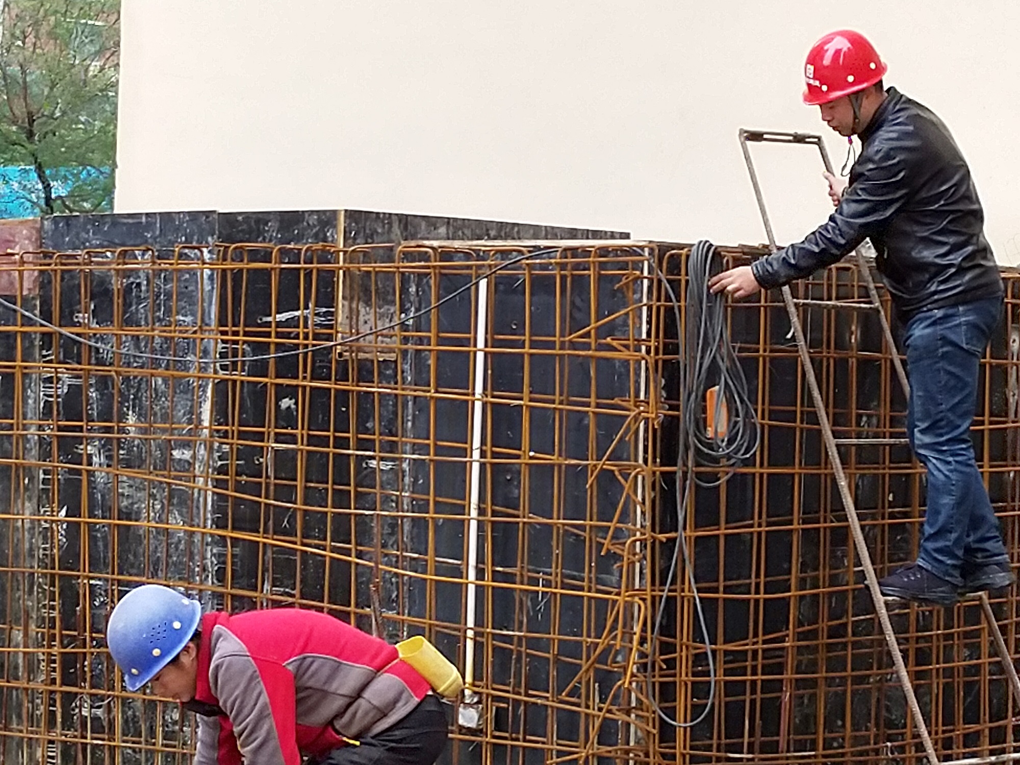 正在上传... 正在上传...