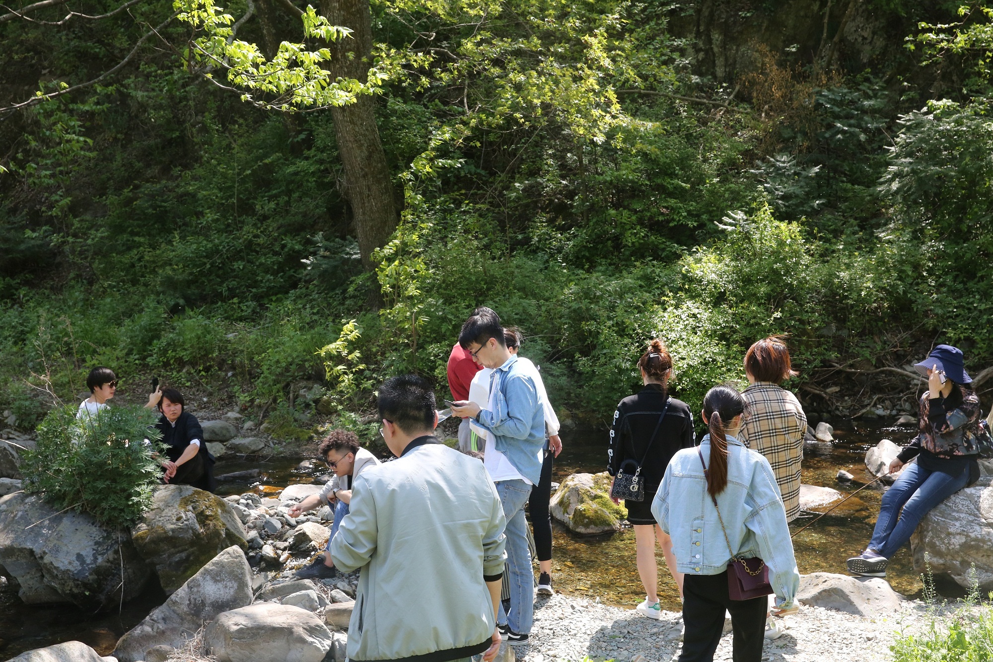 正在上传... 正在上传...