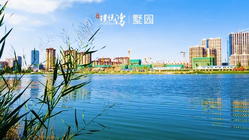 中登集团璞悦湾——城东独树一帜，千米湖景尽享人生